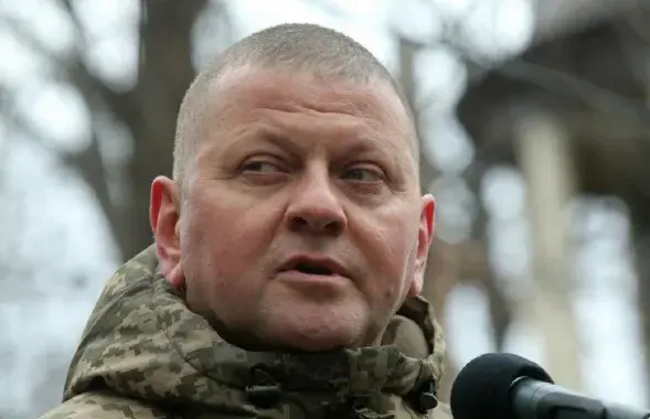 Валерий Залужный / УНИАН
