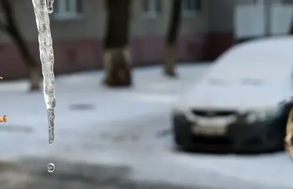 Зимой в Беларуси / БЕЛТА
