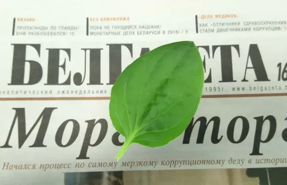 Euroradio