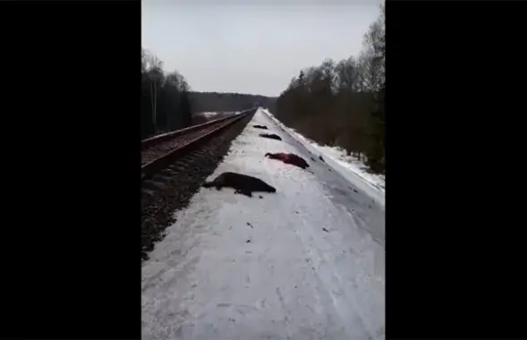 Кадр из видео