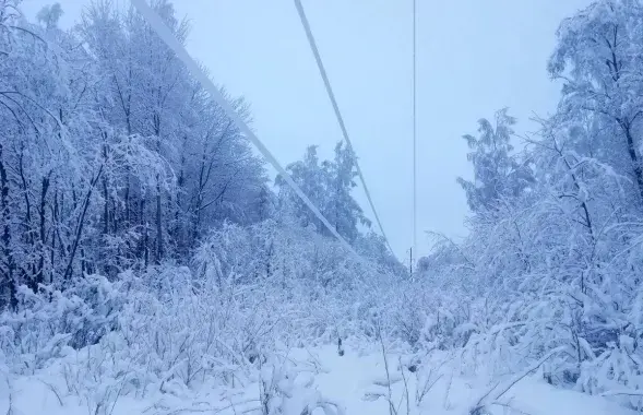 Витебские энергетики борются с последствиями стихии / facebook.com/vitebskenergo​