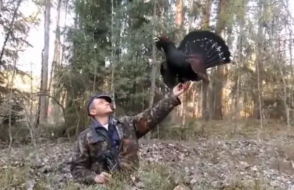 Скриншот