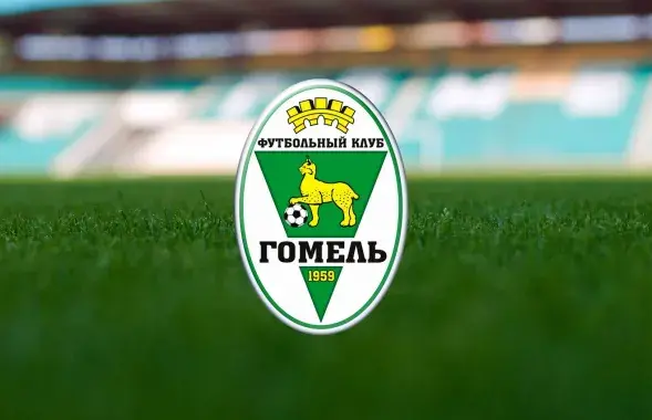 Эмблема футбольного клуба "Гомель"
