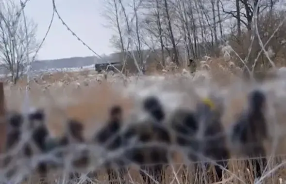 Скриншот из видео

