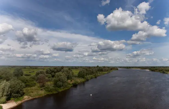 Рака Прыпяць у Жыткавіцкім раёне / Андрэй Лянкевіч / Еўрарадыё