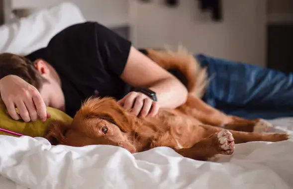 Короткий дневной сон может улучшить вашу жизнь, говорят учёные / Unsplash
