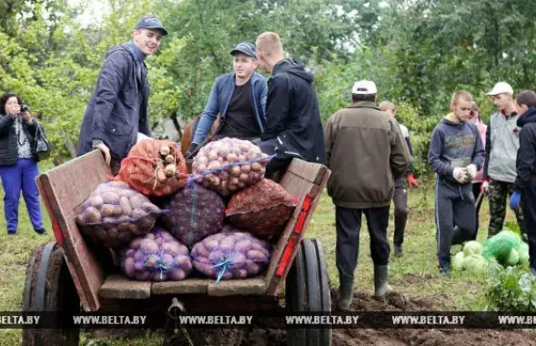 Фото: БЕЛТА