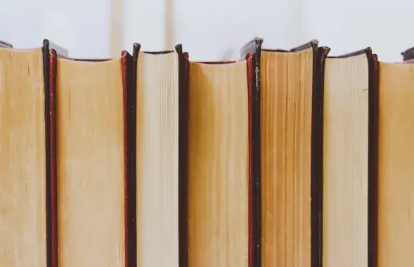 Прокуратура начала охоту на "экстремистские" книги / pexels.com, Emily