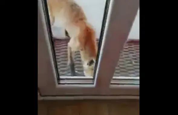 Скриншот из видео