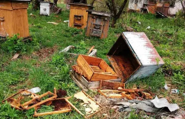 Хозяева дачных участков говорят, что держать пасеку уже нет смысла