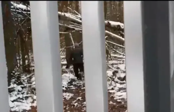 Нелегальные мигранты возле польской границы / кадр из видео

