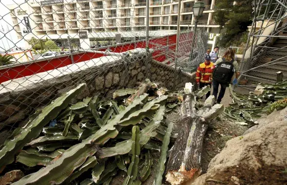 Фото: nicematin.com