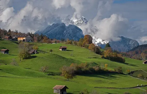 В Новой Зеландии / pixabay.com