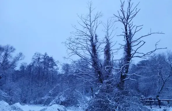 Зима в Беларуси / Еврорадио
