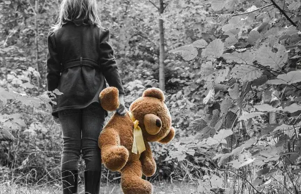 У Гродне затрымалі педафіла / pixabay.com
