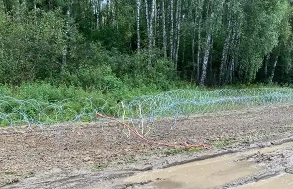 Повреждена колючая проволока на границе / twitter польского пограничного комитета