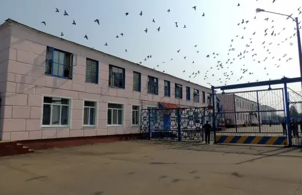 Колония в Бобруйске / t.me/viasna96​