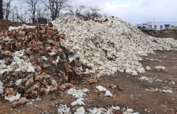 Адбылося гэта пасля таго, як расійскія вайскоўцы вывелі са строю мясцовую электрастанцыю&nbsp;/ The Wall Street Journal