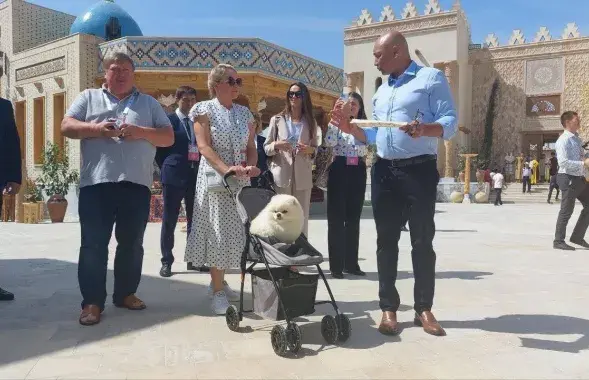 Сабака Умка у Самаркандзе / сацсеткі
