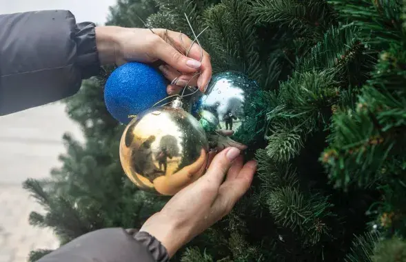 Навагодняя яліна ў Кіеве / фота Кіеўскай гарадской рады
