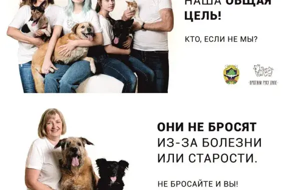 Фото: пина.бел