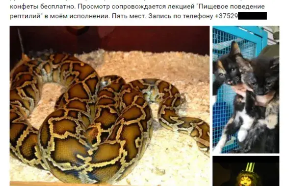 На фото скрин со страницы Элины Л.