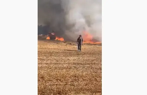 Пожар возле Озерца / Скриншот из видео