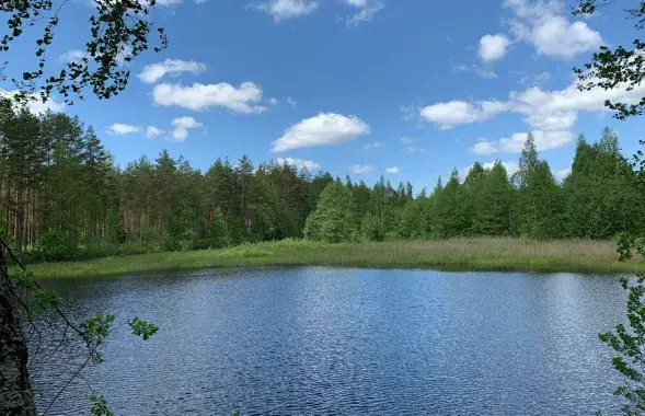 Жара
