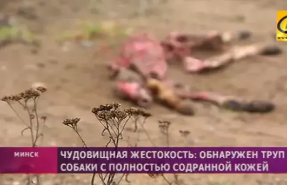 Кадр из видео