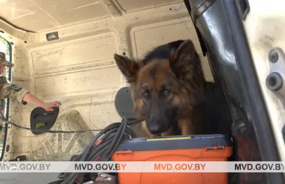 mvd.gov.by
