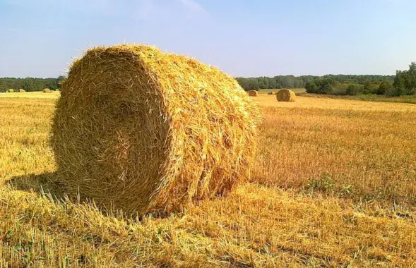 Фото из архива