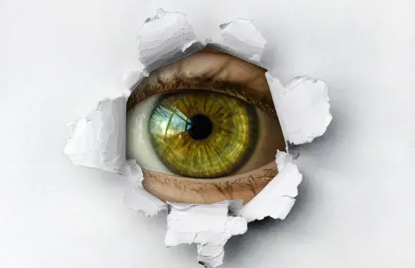 Кампания помогла режиму искать инакомыслящих / Иллюстративное фото pixabay.com
