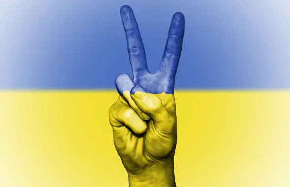 Могилевчанина задержали за поддержку Украины / pixabay.com​