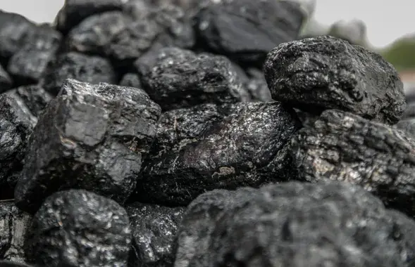 Фото: pixabay.com