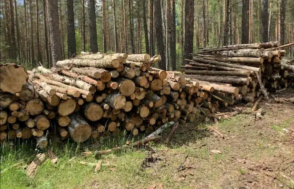 Беларусь экспортирует мебель в ЕС