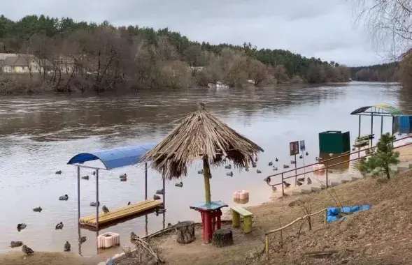 Наводнение в Гродно
