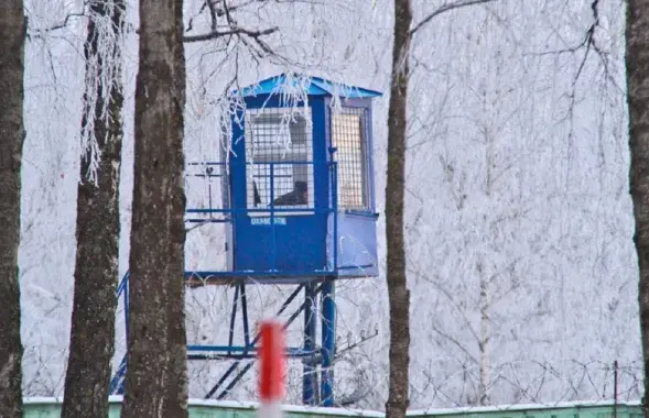 У калоніі № 3

