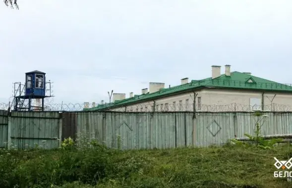 Калонія №3 "Віцьба"
