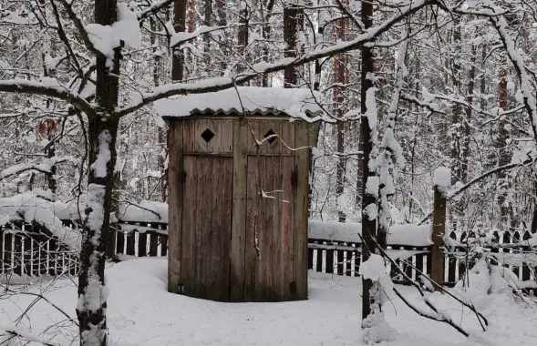 На Магілёўшчыне прадаюць прыбіральню-"шпакоўню"
