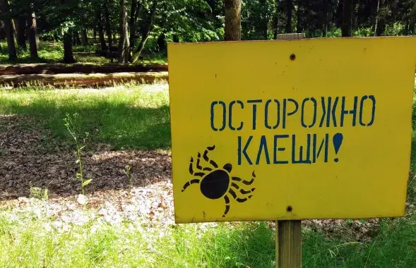 В этом году первые клещи появились очень рано 
