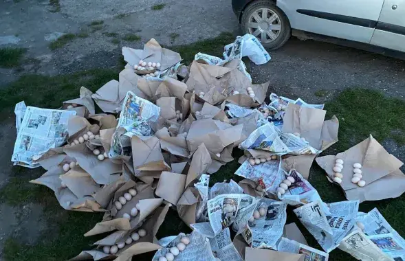 Крадзеныя яйкі&nbsp;
