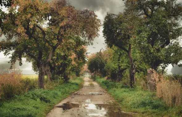 Лужына, ілюстрацыйнае фота
