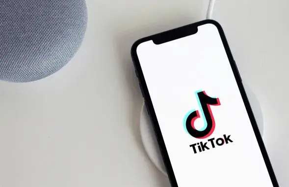 Могилевчанка обратилась к Лукашенко в TikTok
