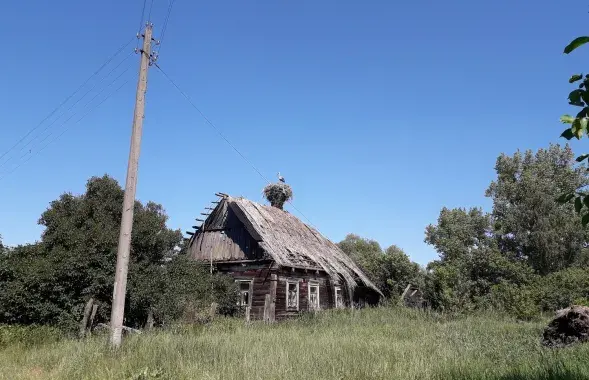 Лето в Кудричах на Полесье
