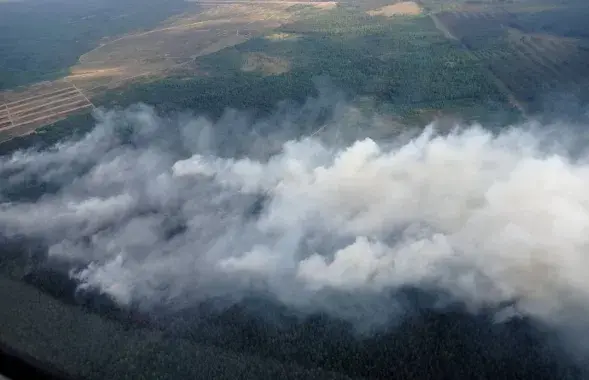 Пожар возле поселка Ружаны
