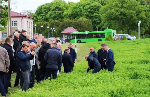 Чиновники в поле
