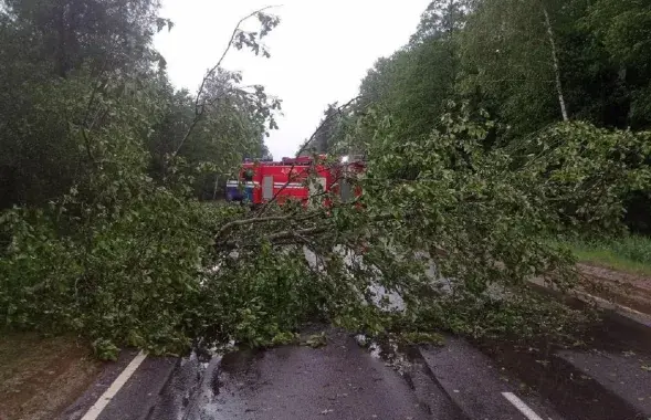 Дрэвы падалі і на аўтадарогі
