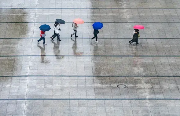 Дождж, ілюстрацыйнае фота
