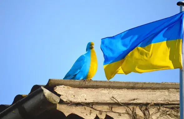 Украіна, ілюстрацыйнае фота

