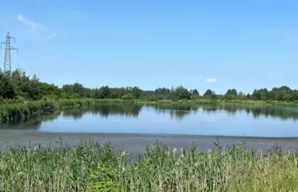 Пруд возле деревни Синело
